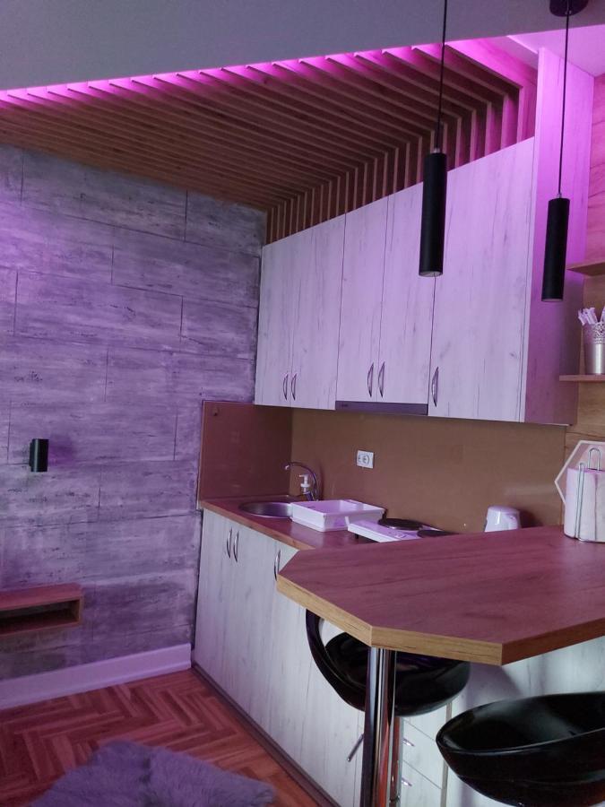 Apartman Studio Milica I スボティツァ エクステリア 写真